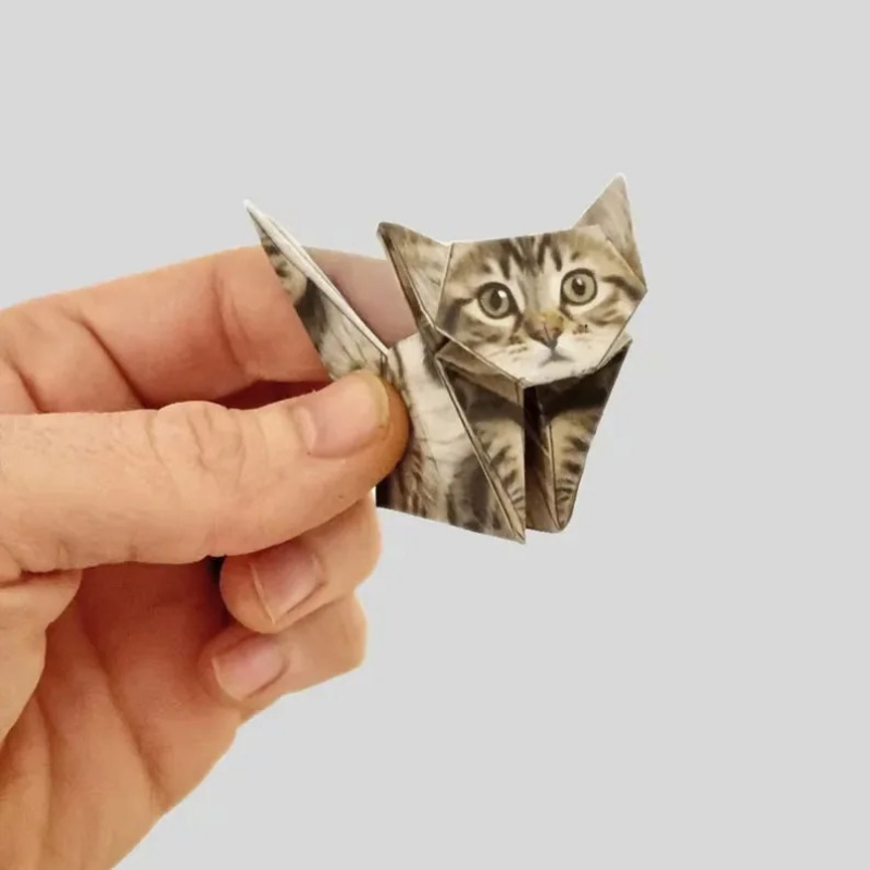 Yaratıcı Kendin Yap Kağıt Kedi - Art Craft Dinosaur incelemesi ve fiyatı