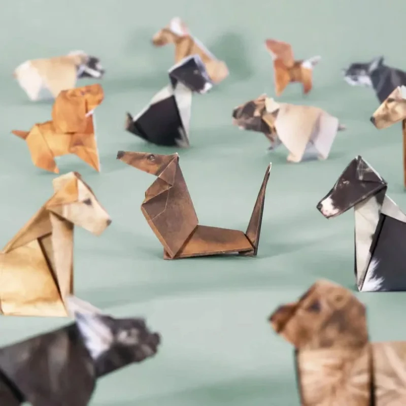 Yaratıcı Kendin Yap Kağıt Kedi - Art Craft Dinosaur incelemesi ve fiyatı