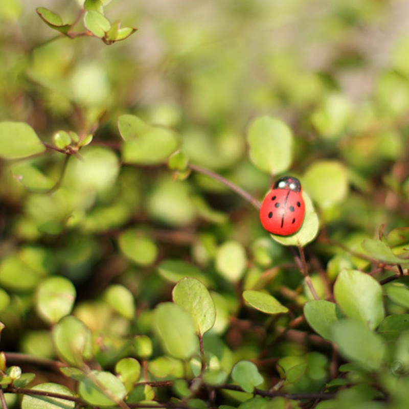 100 adet Kendinden yapışkanlı  - Art Craft Ladybug incelemesi ve fiyatı
